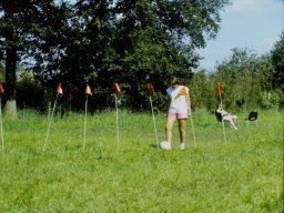 198x RAVAKAMP BB DIAS